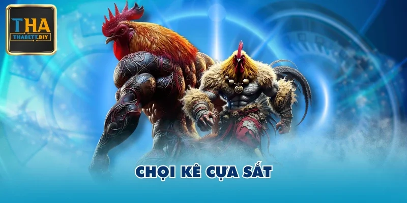 Chọi kê cựa sắt