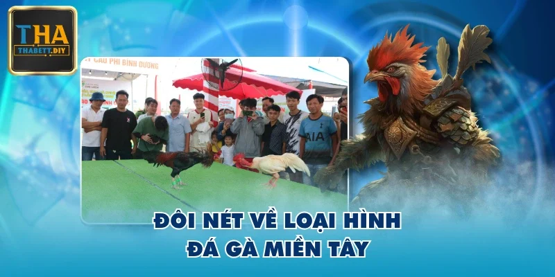 Đôi nét về loại hình đá gà miền Tây